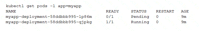 Associate-Cloud-Engineer Question 29